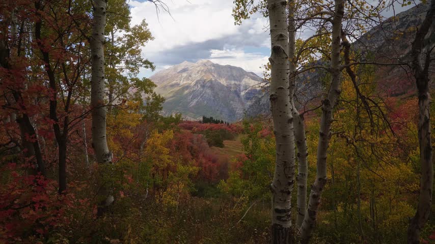 Wide landscape of Mount Timpanogos and the Wasatch Mountains from Kyhv Peak near Provo, Utah, on a sunny fall day, on a hike to buffalo peak surrounded by colorful vibrant autumn colored trees in Octo
