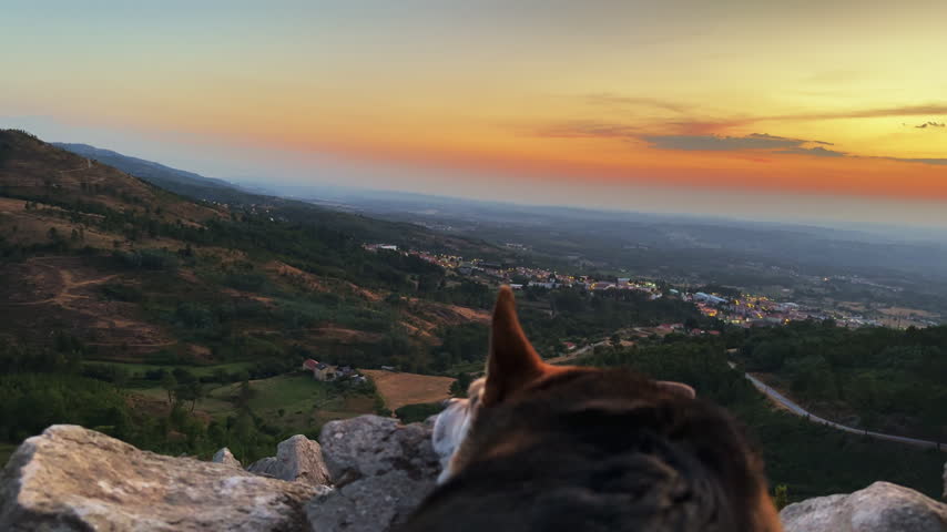 Dog overlooking warm glowing street lights of rural mountain village in twilight valley at dusk.