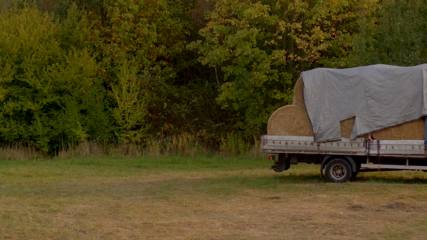 Flatbed truck loaded with large round hay bales covered by gray tarpaulin, parked on grassy clearing with autumn trees in background.