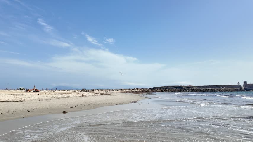 Seagull flying over the coastal waters of Tarifa beach in Spain