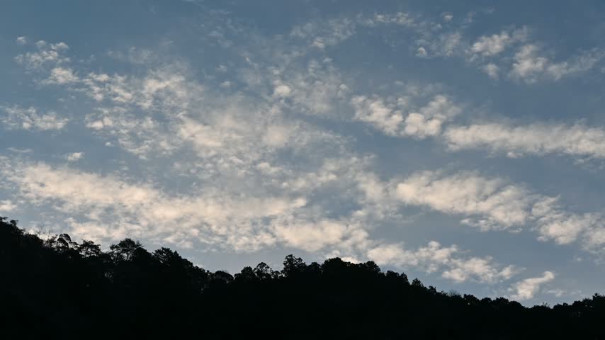 Silhouettes of trees against a blue sky with beautiful clouds