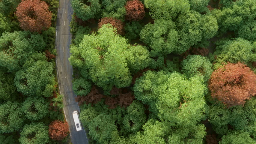 Aerial view of a white camper van driving along a forest road surrounded by colorful autumn foliage. Slow camera drift creates cinematic fall travel footage.