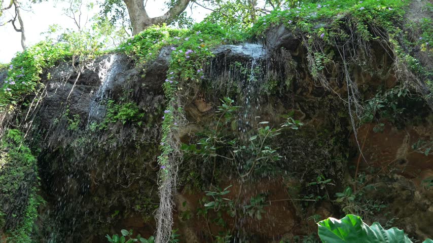 Small natural waterfall cascading over a rocky cliff covered with greenery
