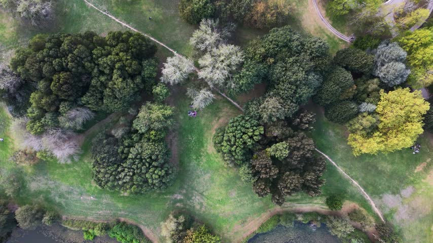 A downward aerial view moves above dense tree canopies, grass and winding paths beside a pond. Small people are visible on the lawns and paths.