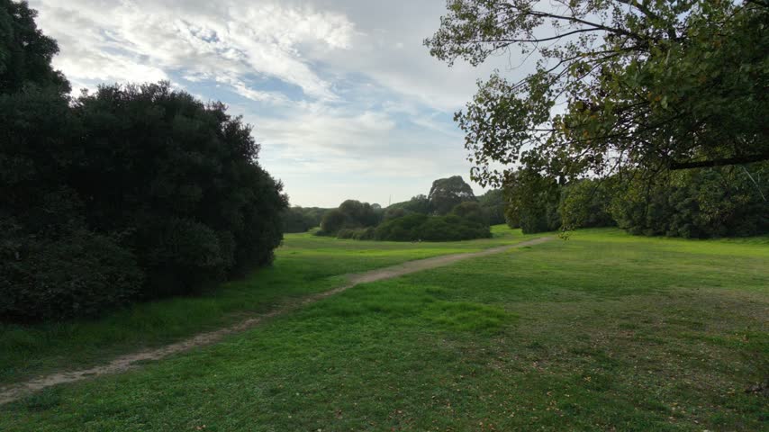 The moving view passes above green grass, a winding path and trees. Distant construction cranes appear above the tree line.