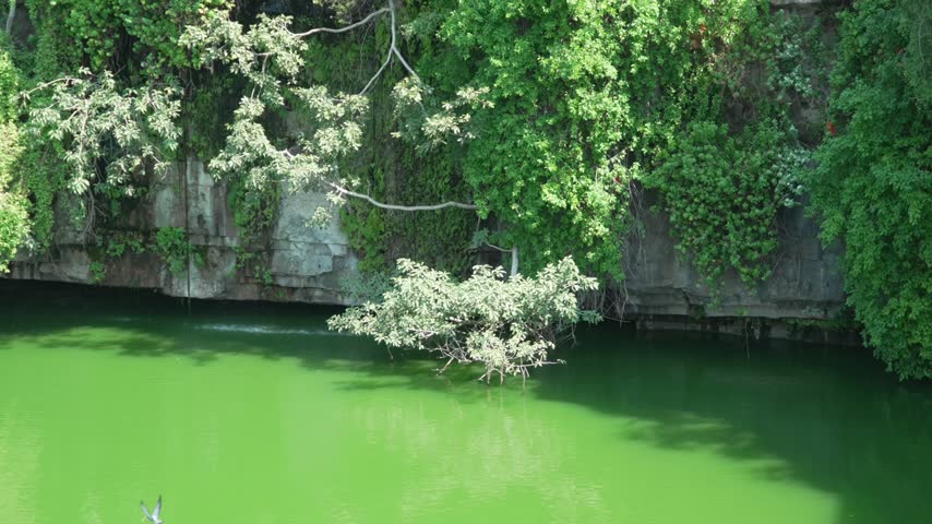 Vibrant green water pond surrounded by rocky cliffs and lush foliage
