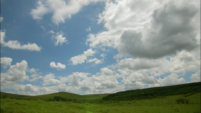 Fluffy white clouds moving across a brilliant blue sky over a vast green grassland. Scenic rolling hills and a distant forest line the horizon