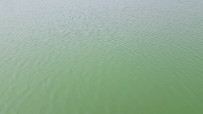 Wide View Of Green Lake Water With Surrounding Landscape Outdoors
