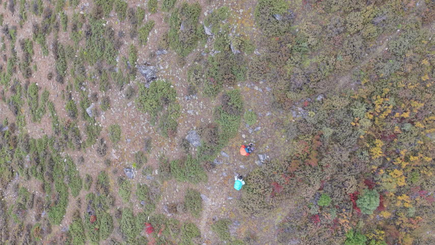 Two hikers walk across a high-altitude grassland with autumn-colored shrubs, captured from a drone overhead.