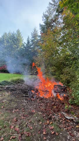 A Garden Debris Fire in a Yard