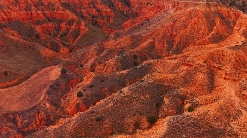 Vast rocky landscape with orange hues and small vegetation during daylight. The scene shows a large area of orange rock formations with sparse plants.