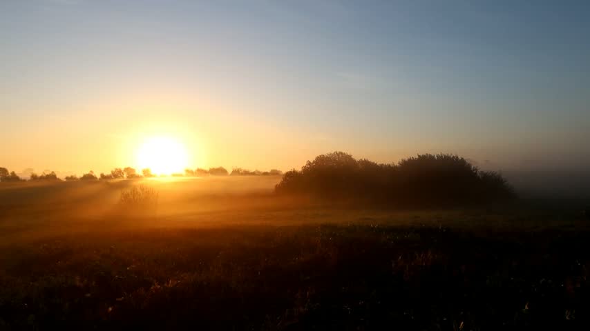 Morning in nature featuring brilliant sunlight piercing through the thick morning mist over green fields and dark silhouetted trees. The scene conveys deep tranquility, freshness, and the inspiring beauty of nature