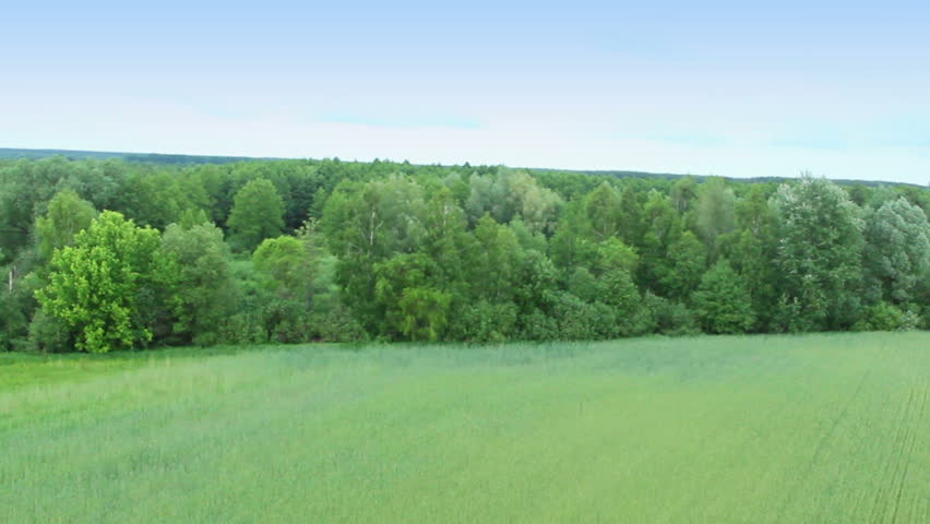 Aerial view of forest trees in suburb. Pilot pov, smooth motion