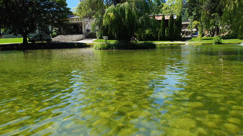 Green Park Pond With Clear Water, Willow Trees and Small Island Reflections on a Sunny Summer Day