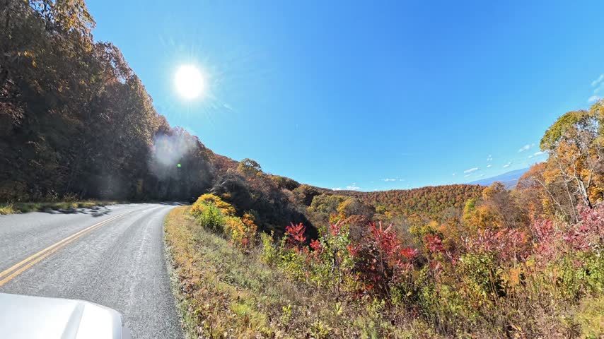 mountain road curves beside autumn trees and distant ridges in Shenandoah.
