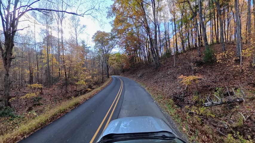  Autumn trees pass above the vehicle as the roadway recedes between wooded slopes.