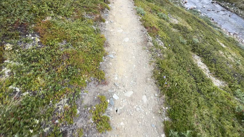 A narrow trail runs along a steep green slope above a mountain river with hikers walking ahead.