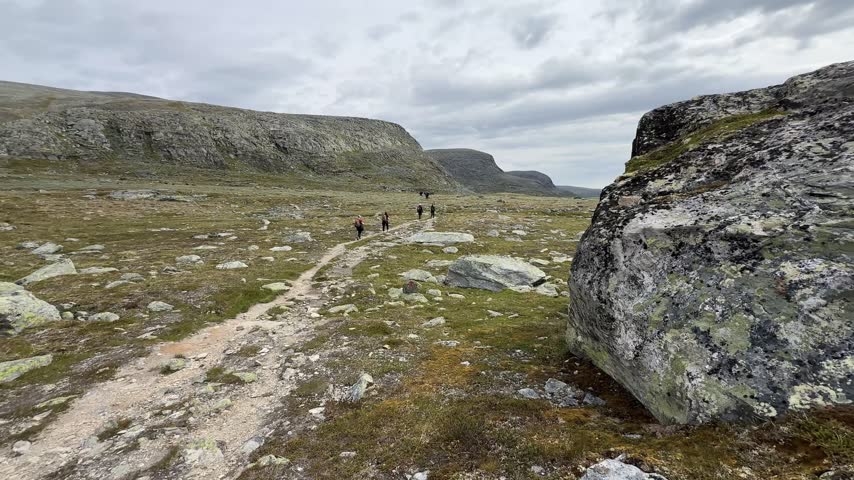 A sandy trail runs past a large boulder across the Dovrefjell plateau towards a flat topped mountain.
