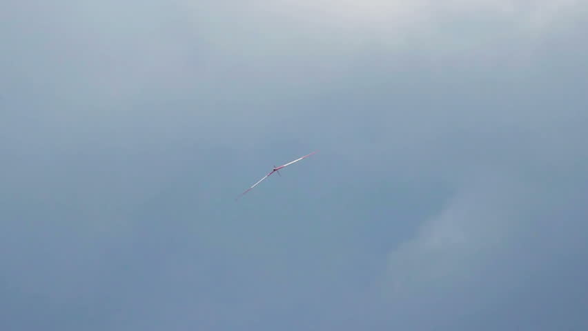 Nice glider performance in sky. Airplane showing tricks in the air