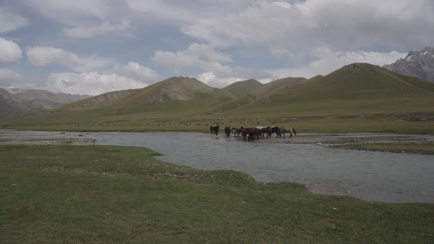 Horses along a river with snow peaks and clouds, Kel-Suu, Naryn Region, Kyrgyzstan, Central Asia.