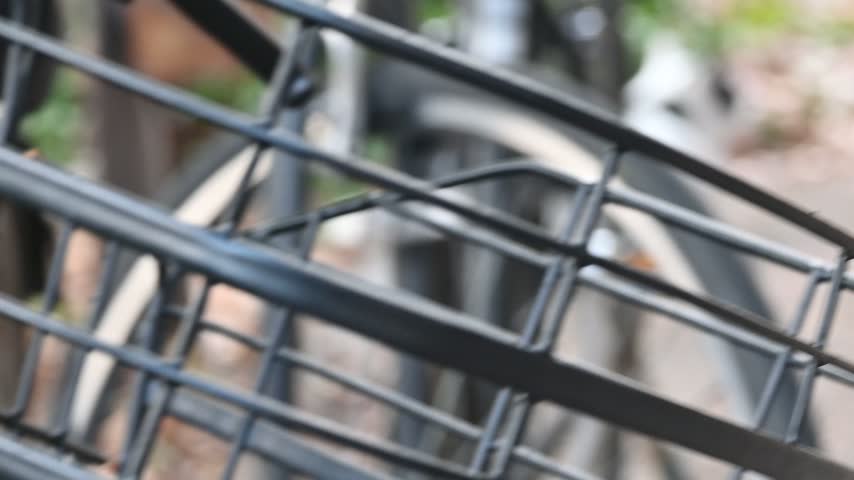 A cute cat peeking from the front basket of a bicycle parked on a sunny street.