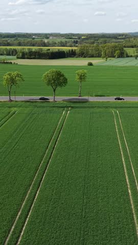 Beautiful aerial perspective of lush green farmland with a rural road and rolling hills