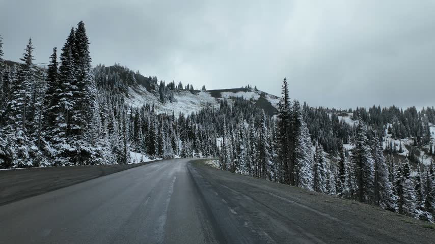 Forward motion on an empty asphalt road winding through a snow-dusted evergreen forest in Olympic National Park, Washington State