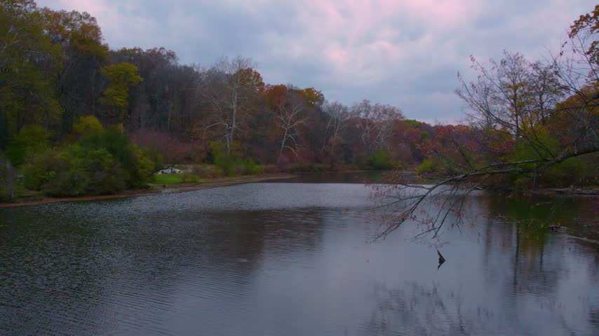 Drone view of a calm autumn lake framed by colorful woodland and an overhanging tree at Mill Creek Park in Youngstown, Ohio.