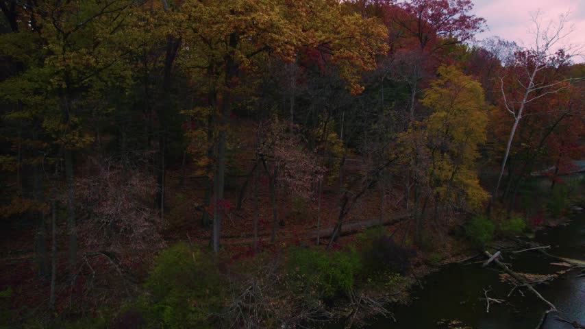 Drone view of a wooded lakeshore with colorful autumn foliage, fallen branches, and calm water at Mill Creek Park in Youngstown, Ohio.