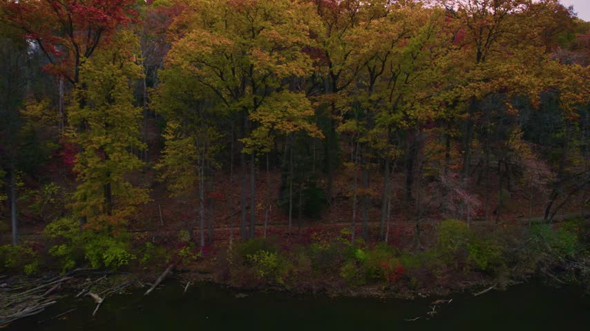 Drone view of dense autumn woodland along the water’s edge at Mill Creek Park in Youngstown, Ohio, filled with rich seasonal colors.
