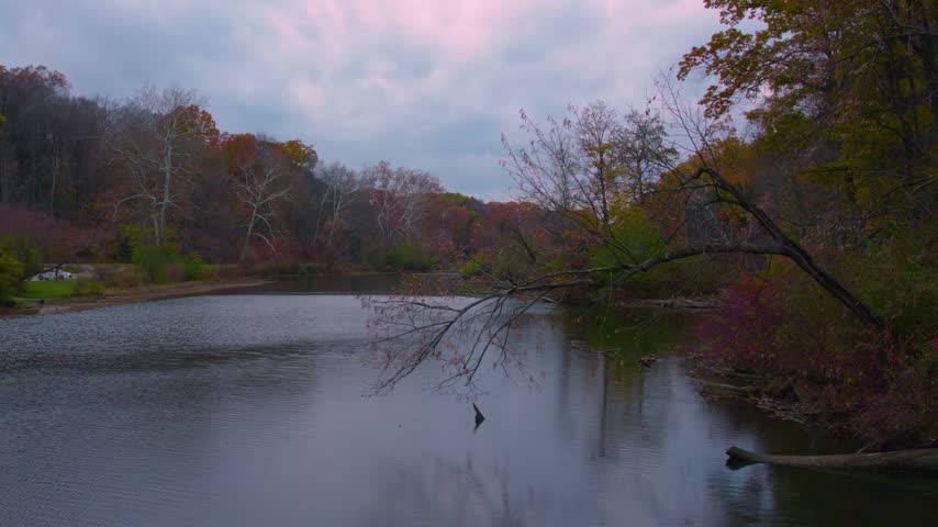 Drone view of a calm lake framed by overhanging branches and colorful autumn woodland at Mill Creek Park in Youngstown, Ohio.
