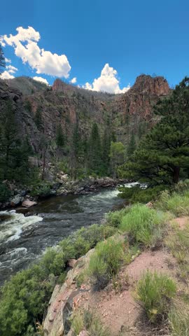 Vertical View of Creek in State Forest State Park, Colorado USA, Rapids in Scenic Landscape on Sunny Day