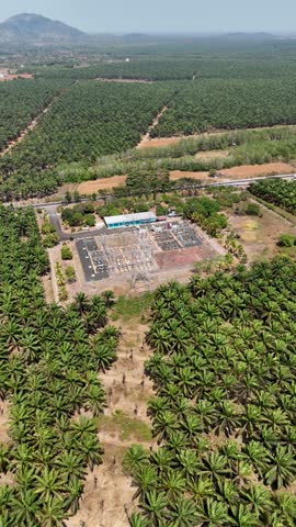 An electrical substation facility surrounded by vast oil palm plantations in South Kalimantan.