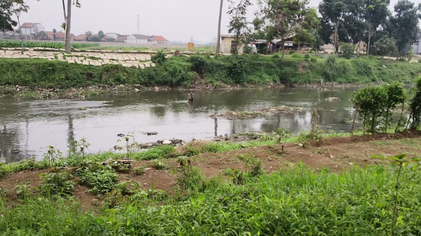 Rural river landscape with green grass and trees