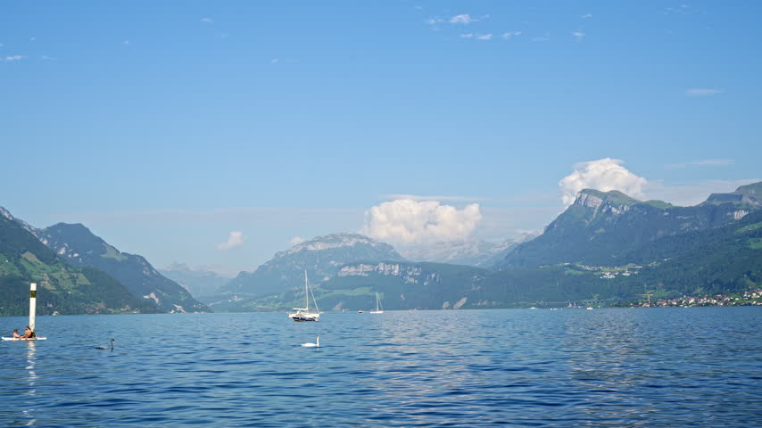 Beautiful panoramic landscape of Lake Lucerne in Switzerland. Clear blue water with sailing boats, a graceful white swan, and majestic mountain peaks. Summer travel and tourism concept in Europe.