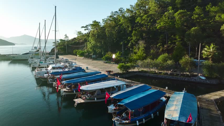 Waterfront marina with docked boats, stone pavement, green trees, and distant hills over calm water under bright sunlight.
