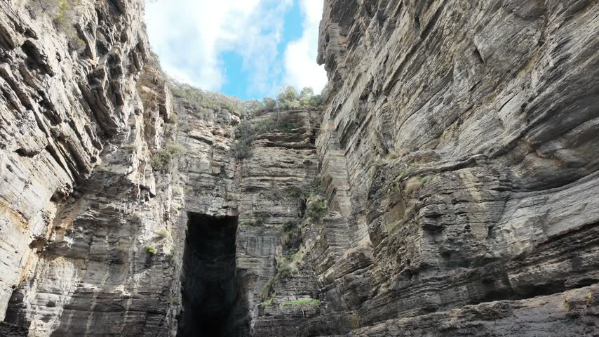 Looking up a narrow chasm between towering sea cliffs on the Tasman Peninsula.