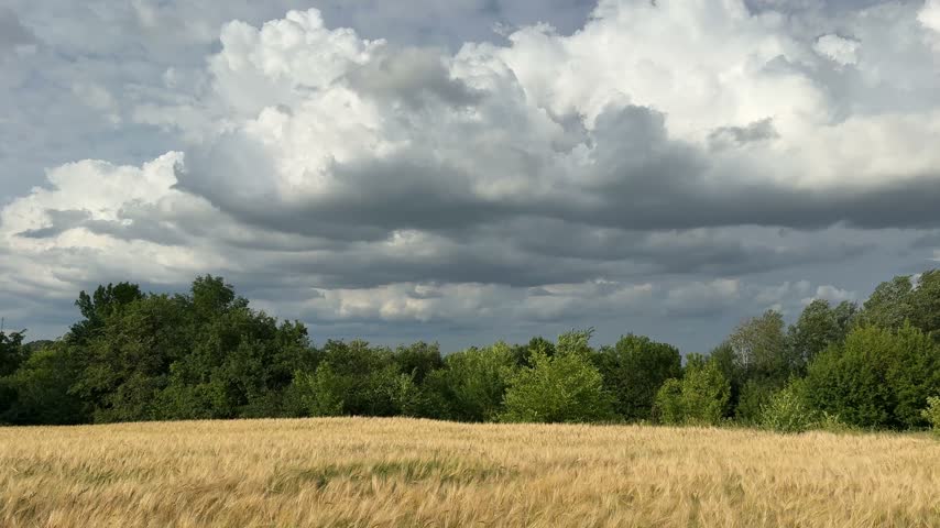 Dramatic sky clouds over field.