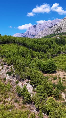 Croatia, Biokovo mountain landscape, pine forest and rocky terrain under blue sky with clouds, aerial footage