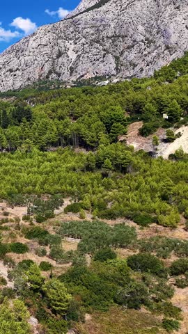 Croatia, Biokovo mountain landscape with pine trees and rocky terrain, aerial footage