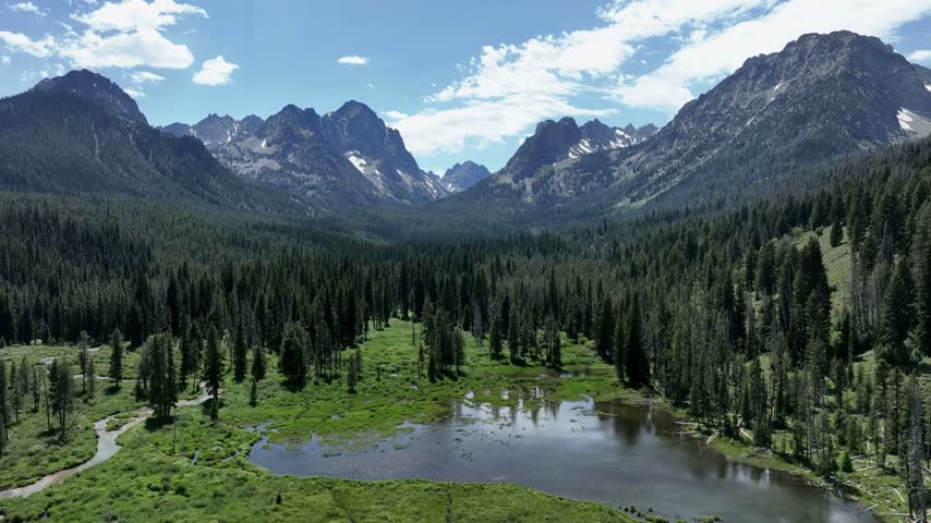 Stanley Idaho alpine valley features rugged mountain peaks dense evergreen forests and a clear wetland pond on a bright sunny day