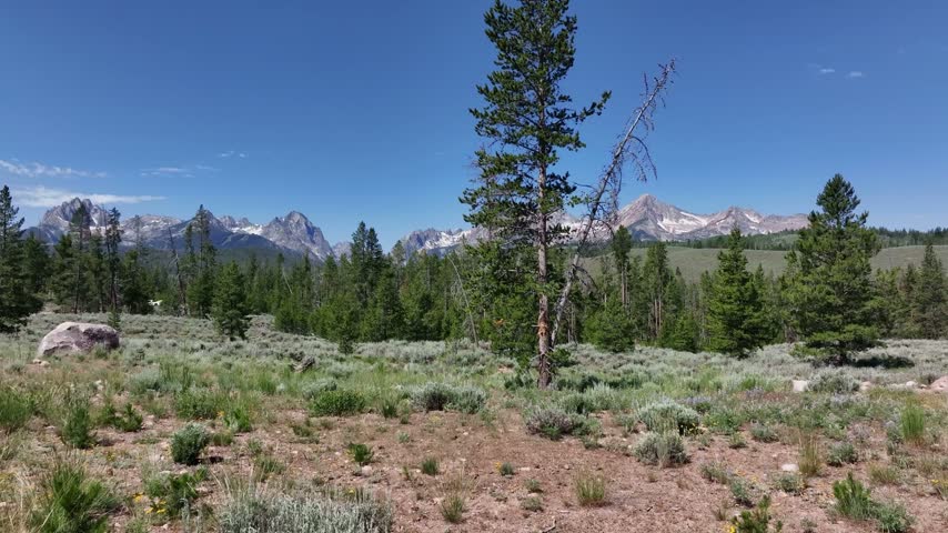 Sawtooth Mountains frame a scenic evergreen valley and highway near Stanley Idaho in an expansive aerial landscape shot