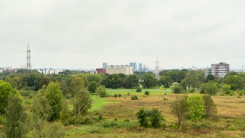 Green urban meadow with scattered trees and distant buildings under an overcast sky