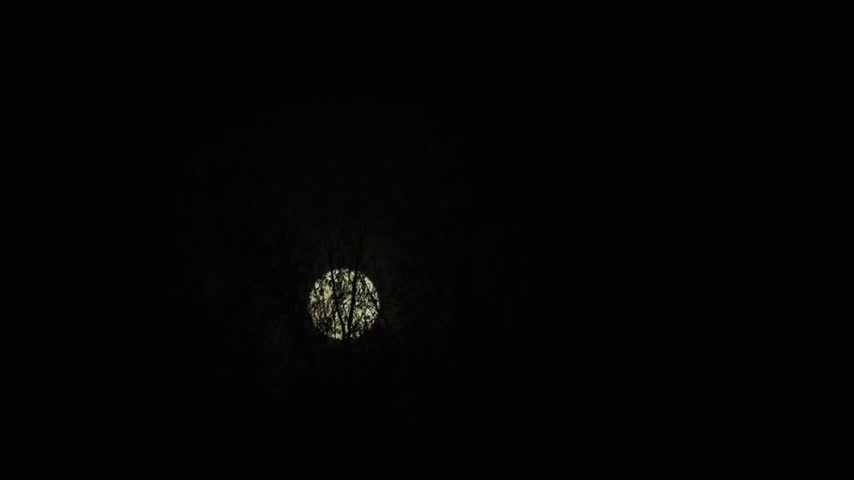 ​Full moon rising behind silhouette tree branches in a dark night sky  
