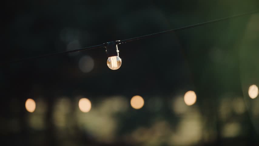 String lights are seen hanging in a garden while sunlight shines through. The atmosphere feels warm and inviting as the day progresses.