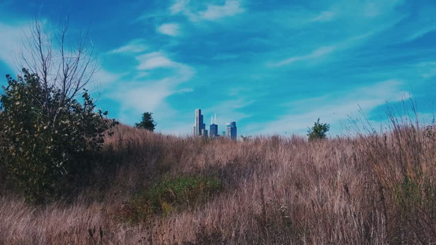 Iconic Chicago Skyscrapers peering out over a hill of prairie grass under a bright blue sky.