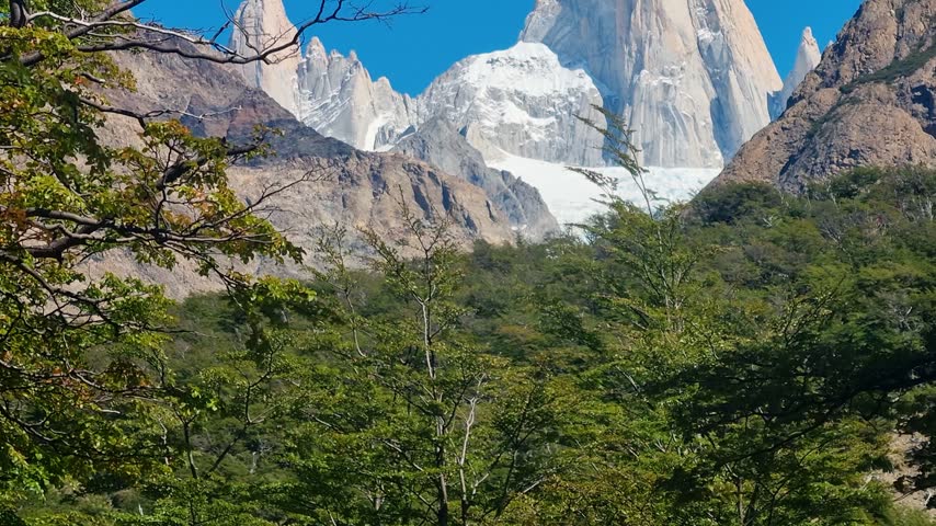 Iconic Mount Fitz Roy rises dramatically above Patagonia, Argentina, surrounded by the jagged granite peaks of the Fitz Roy Massif, including Aguja Poincenot, beneath a bright blue sky