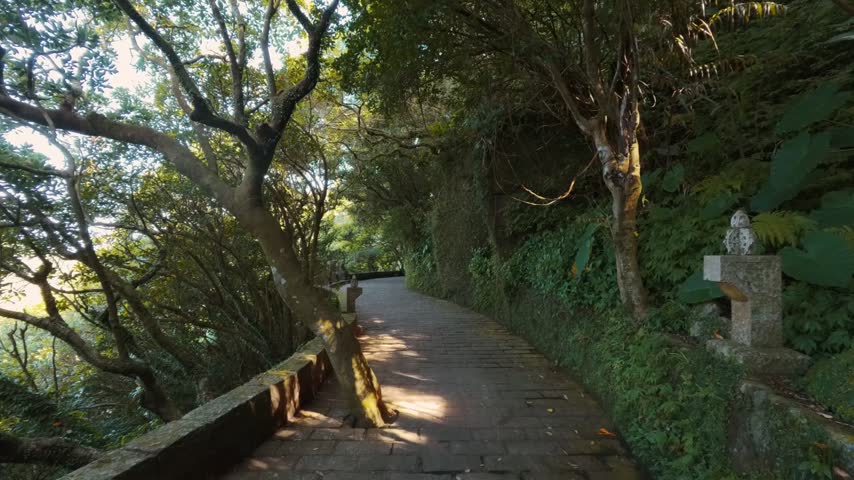 Paved walkway winding through a lush tropical forest beneath dense tree canopies with sunlight filtering across the shaded path and stone walls on Oahu Hawaii USA.