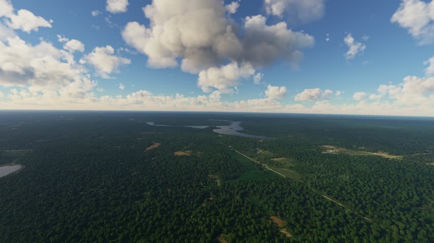 3D - Aerial view of Lake Itasca and the Mississippi River Headwaters. Minnesota. United States