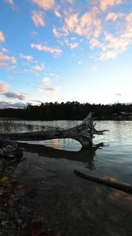 Portrait footage frames shoreline driftwood, calm water and a wooded horizon at Green Lakes State Park, New York.
